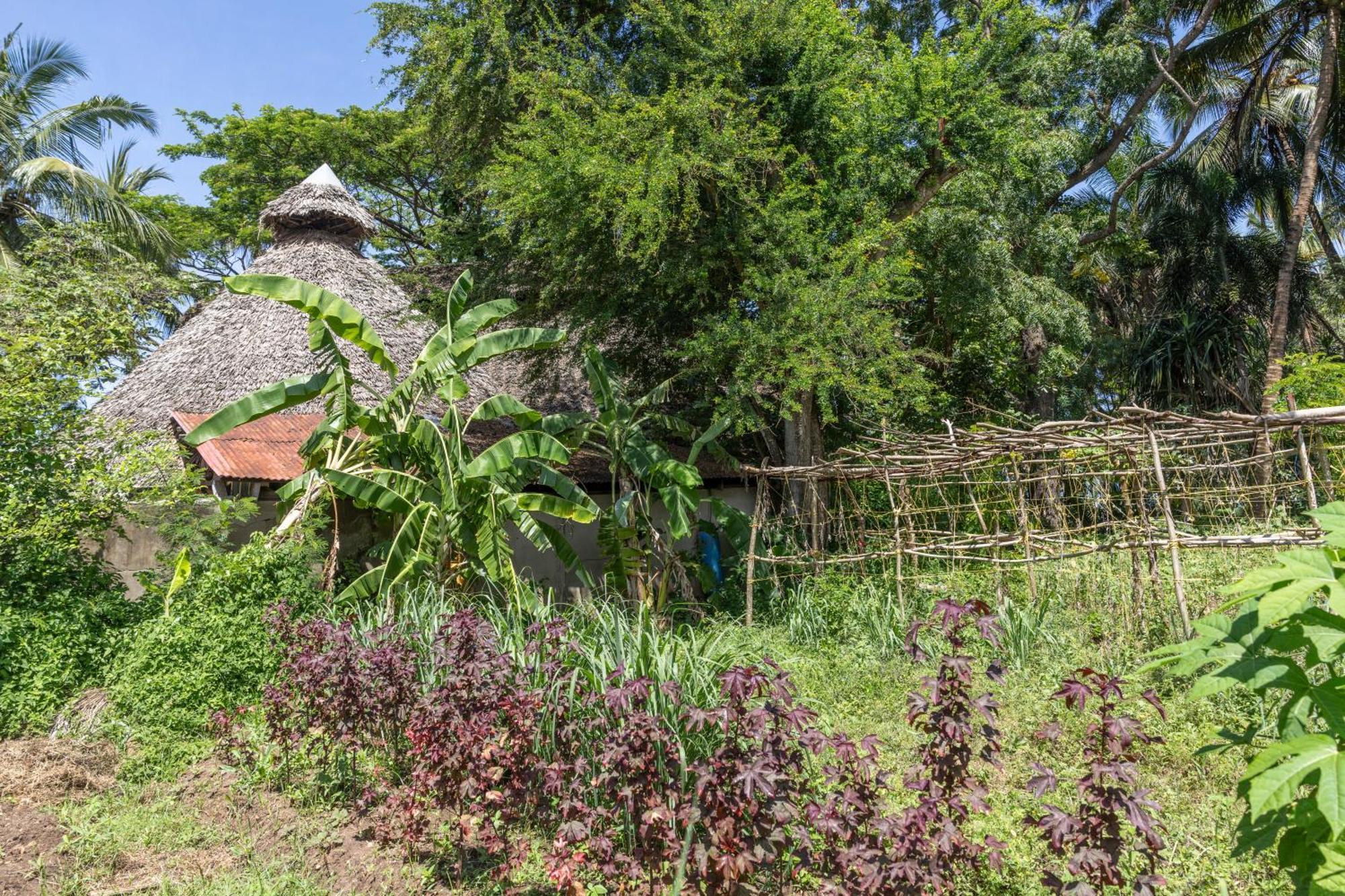 Mbweni Ruins & Gardens Previously Jungle Paradise Zanzibar Eksteriør billede