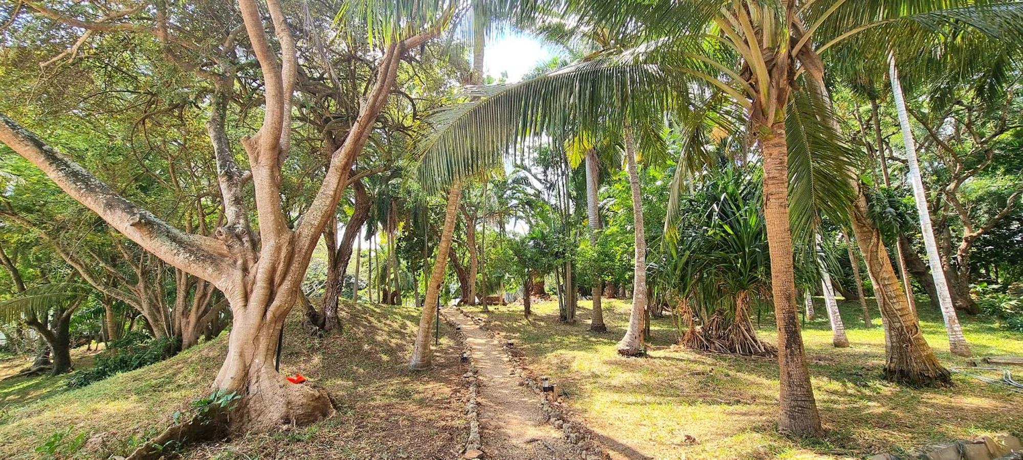 Mbweni Ruins & Gardens Previously Jungle Paradise Zanzibar Eksteriør billede