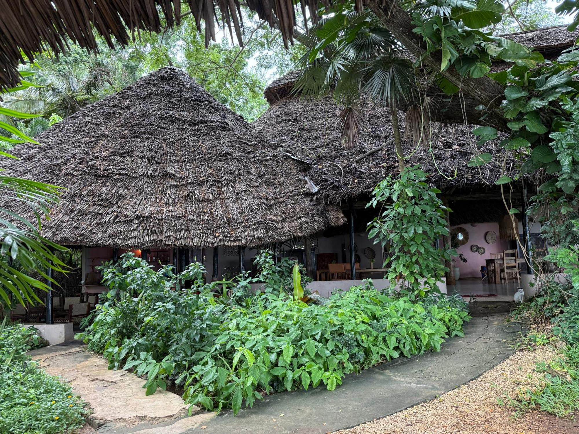 Mbweni Ruins & Gardens Previously Jungle Paradise Zanzibar Eksteriør billede